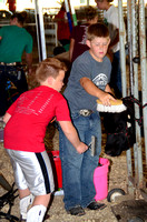 2015 Clay County Fair