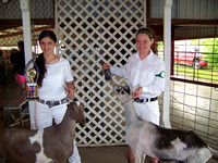 Regional Dairy Goat Show