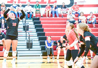 Sutton VB vs. BDS