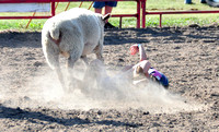 Mutton Busting/ Redneck Rodeo