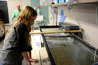 Trout in the Classroom Program '22