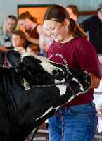 Bucket Calf Show