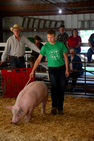 Swine Show