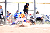 Shiners 14U Baseball