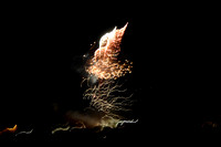 Trumbull Fireworks June '24